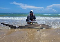 South Texas Shark Stewards - ROME Fuentes
