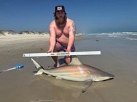 Fish On Custom Leader  - John  Neely