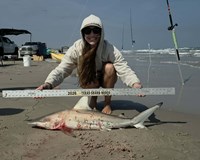 Sharkaholics - Kyle Barnes