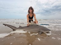 Gulf Gear - Kiah Diaz