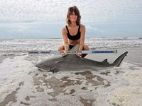 Gulf Gear - Kiah Diaz