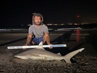 Gulf Gear - Adrian  Quintana