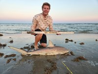 Up Coast Sharkers - Trenton Williams