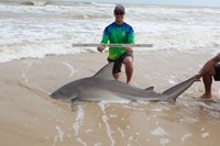 Chum & get some  - Ayden Jeffers