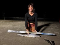 Gulf Gear - Kiah Diaz
