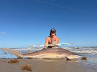 Gulf Gear - Hunter Stevens