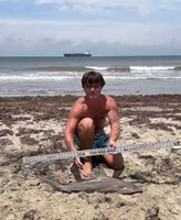Gulf Gear - Hunter Stevens