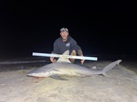 Team JackWagon - Steven  Tidwell