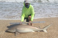 Team Breakaway - Carol Cox