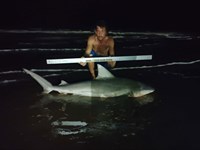 Shark at the Moon - Erik Schneider