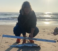 Team Breakaway - Carol Cox