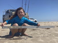 Sharkaholics - Emma Knight