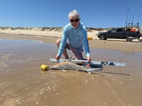 Chum Don't Run - Stanley Crane