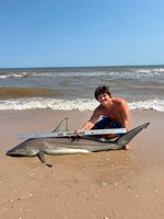 Gulf Gear - Hunter Stevens