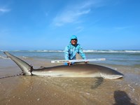 South Texas Shark Stewards - Pedro Elizalde 
