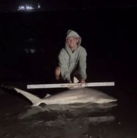 Gulf Gear - Hunter Stevens