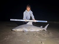 Gulf Gear - Kiah Diaz