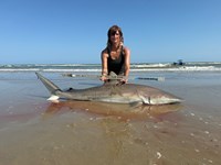 Gulf Gear - Kiah Diaz