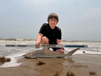Gulf Gear - Nolan Diaz