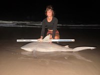Gulf Gear - Kiah Diaz