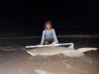 Gulf Gear - Kiah Diaz