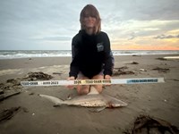 Gulf Gear - Kiah Diaz