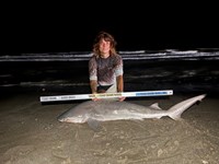 Gulf Gear - Kiah Diaz