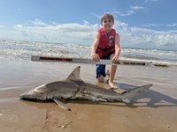 Sandbar Carnage - Cayden Jones