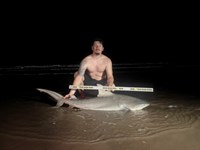 Shark at the Moon - Hunter Caldwell