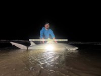 Shark at the Moon - Hunter Caldwell