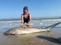 Gulf Gear - Kiah Diaz