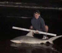 Gulf Gear - Hunter Stevens