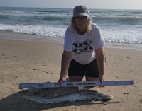 Team Breakaway - Carol Cox