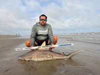 Gulf Gear - Josh Diaz