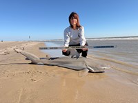 Gulf Gear - Kiah Diaz