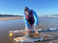 Chum Don't Run - Allen Crane