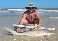 Sharkaholics - Shane Belaire