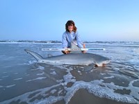 Gulf Gear - Kiah Diaz