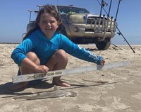 Sharkaholics - Emma Knight