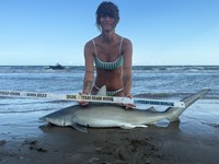 Gulf Gear - Kiah Diaz