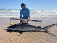 Chum Don't Run - Allen Crane