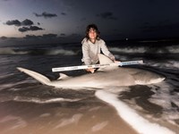 Gulf Gear - Kiah Diaz